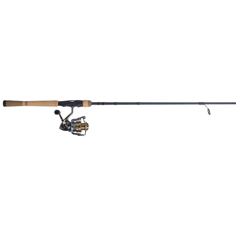 Fenwick President Eagle 2 Piece Spinning Combo image number 0