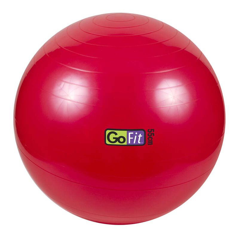 Go Fit 55cm 1000lb Capacity Exercise Ball with Pump & Training Poster image number 1