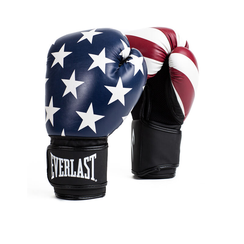 Everlast 14oz USA Spark Training Gloves image number 3