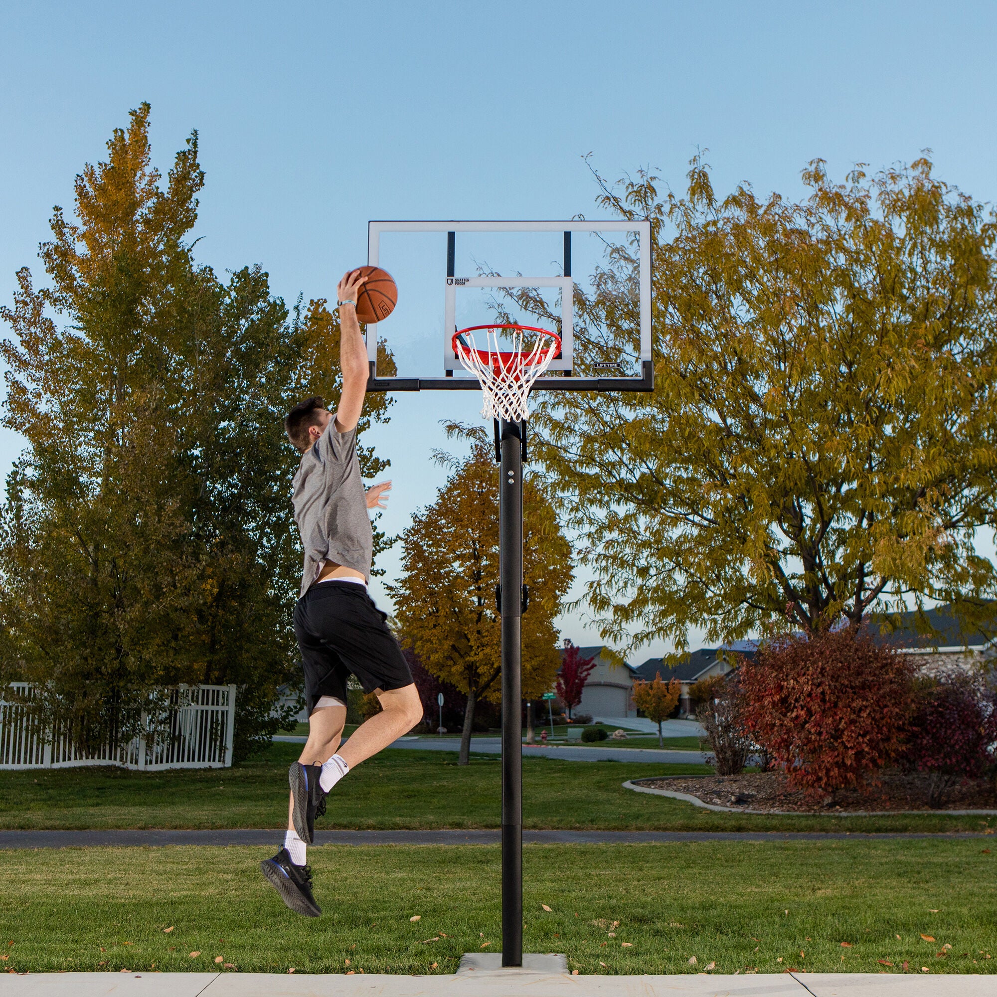 Lifetime 54" SFS 91003 Power In-Ground System