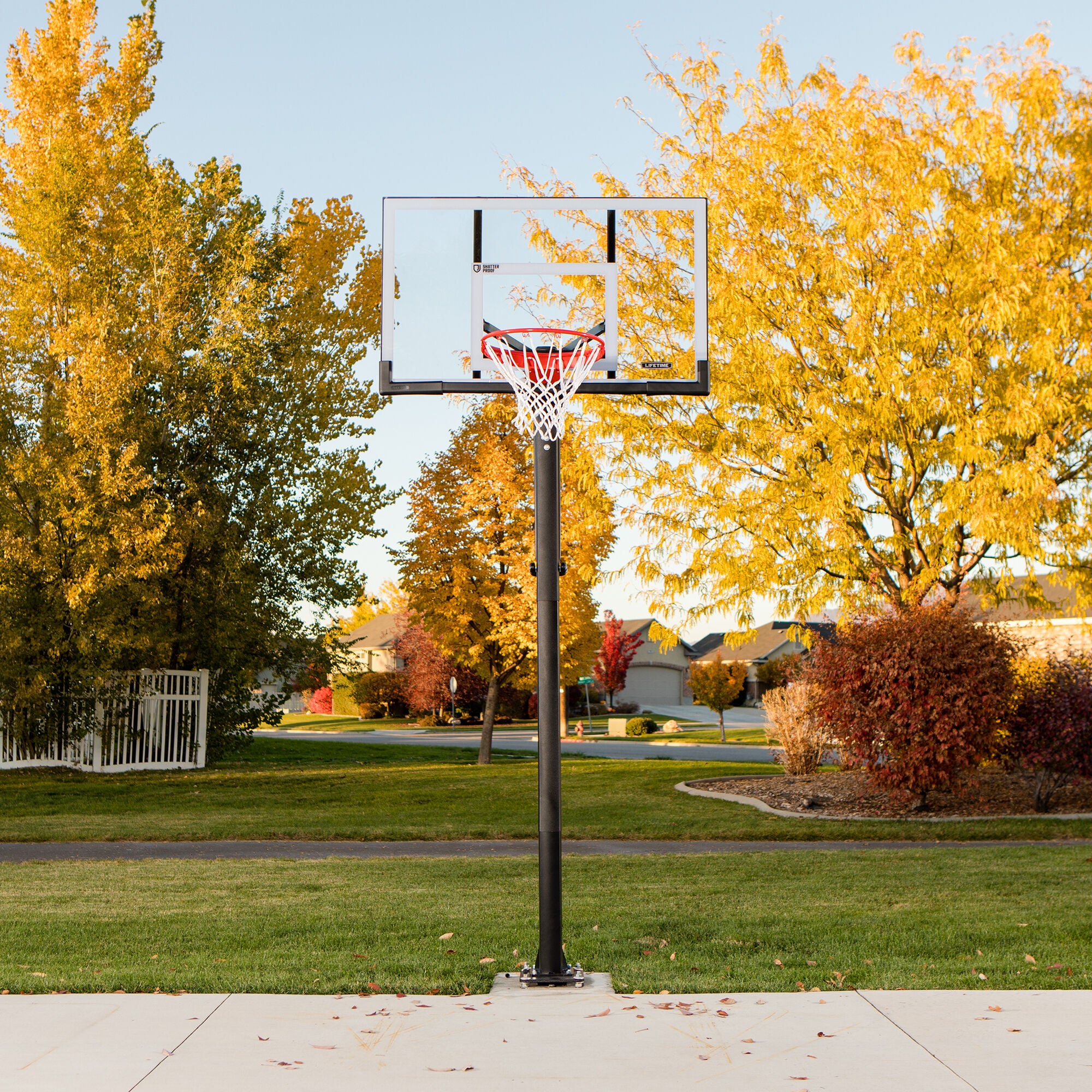 Lifetime 54" SFS 91003 Power In-Ground System