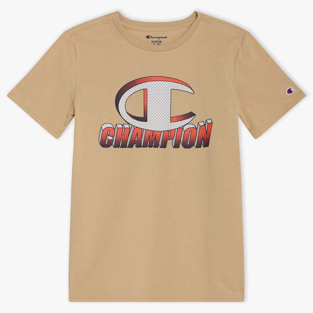 Champion Boys' 3D Block Tee