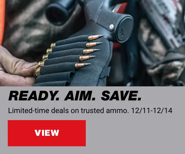 AmmoFlashSale121125PC