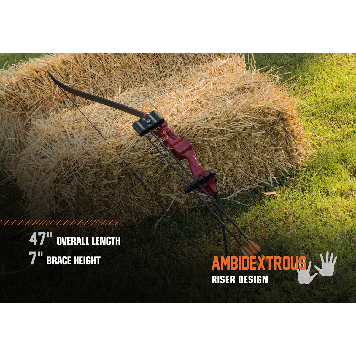 Bear Flash Youth Recurve Bow