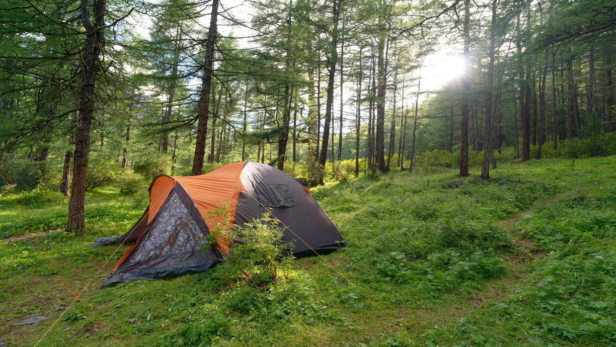 <p style="text-align: center;"><b style="">View All Tents</b></p>