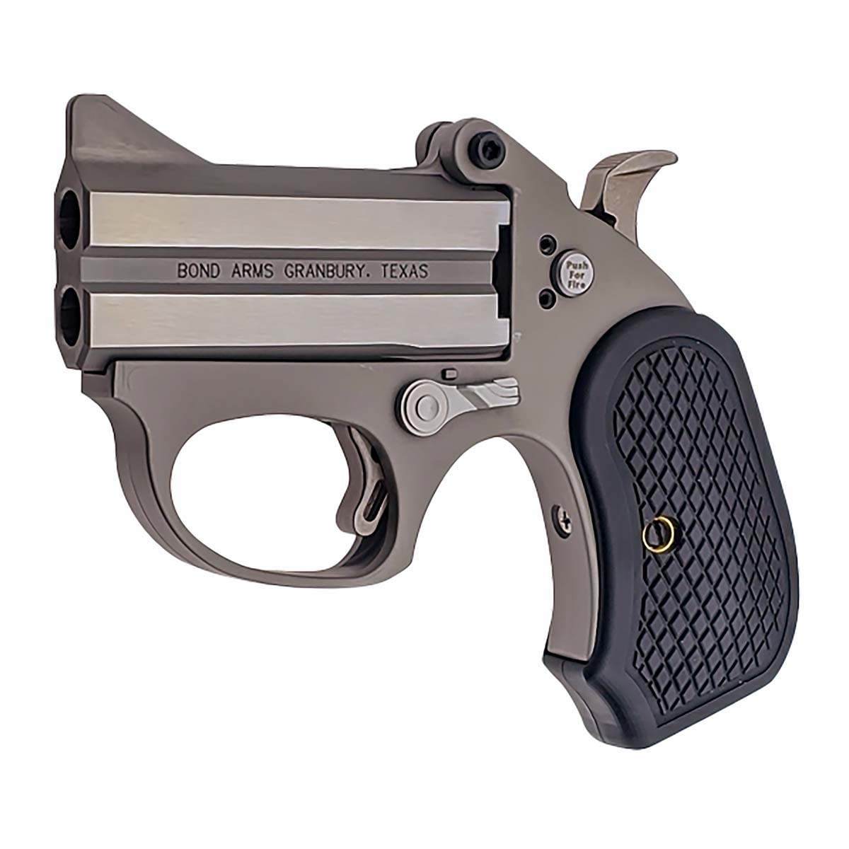 Bond Arms HONEY-B 22MAG 3" 2 Round Stainless Steel Pistol