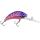 Purple/Red