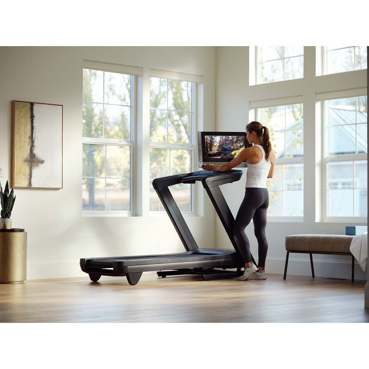 NordicTrack Commercial 2450 Treadmill with 30-day iFit Membership with Purchase
