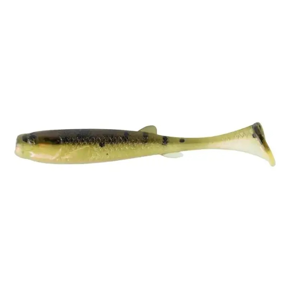 Rebel Shore Shiner 2" Paddle Tail Swimbait Kit