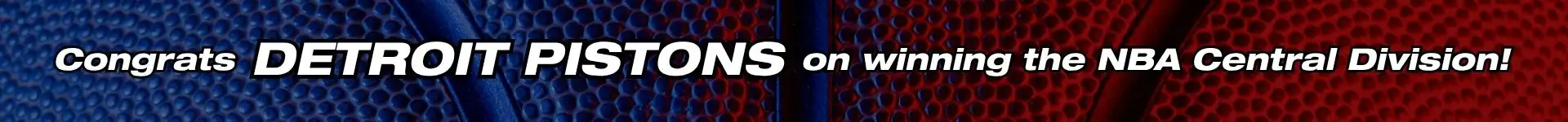 Detroit Pistons Central Division Champs pc banner