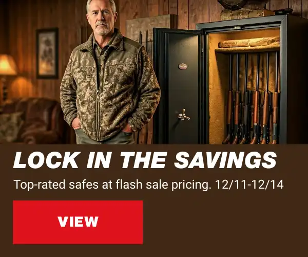 SafeFlashSale121125PC