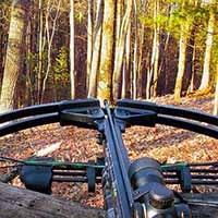 <div style="text-align: center;"><b style="background-color: rgba(0, 0, 0, 0);">Broadheads</b></div>