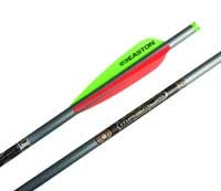 <div style="text-align: center;"><b style="background-color: rgba(0, 0, 0, 0);">Archery</b></div>