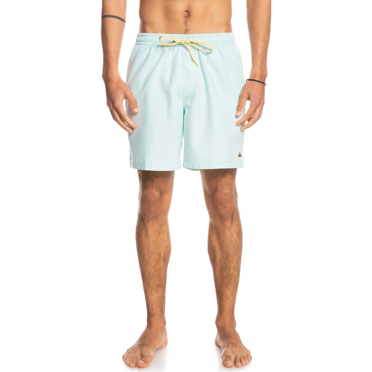 Quiksilver Men's Everyday 17" Volleys