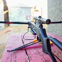 <div style="text-align: center;"><b style="background-color: rgba(0, 0, 0, 0);">Arrows &amp; Bolts</b></div>