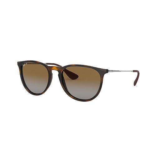 Ray Ban Erika Classic Polarized Sunglasses