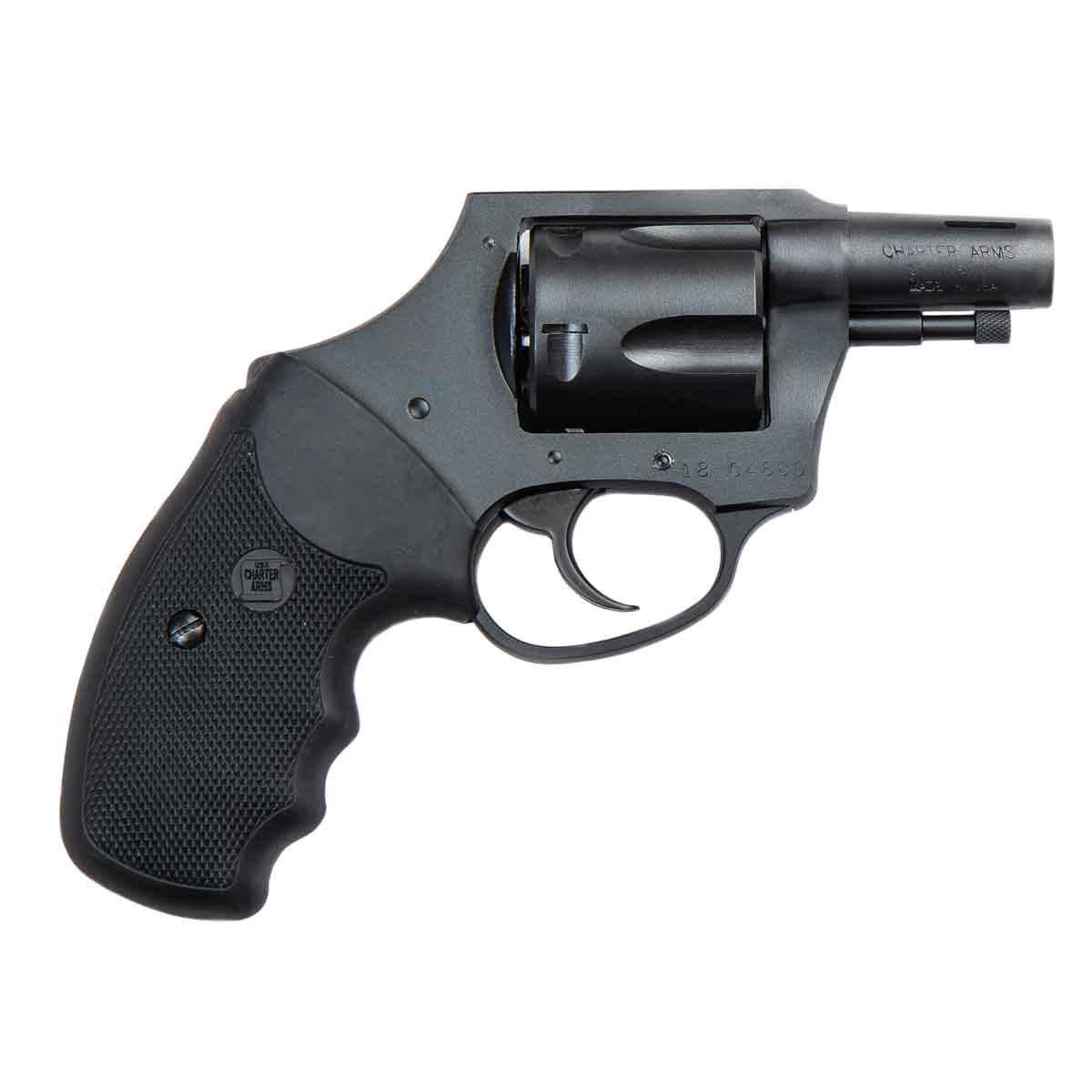 Charter Arms 64429 Bulldog 44 S&W Reolver