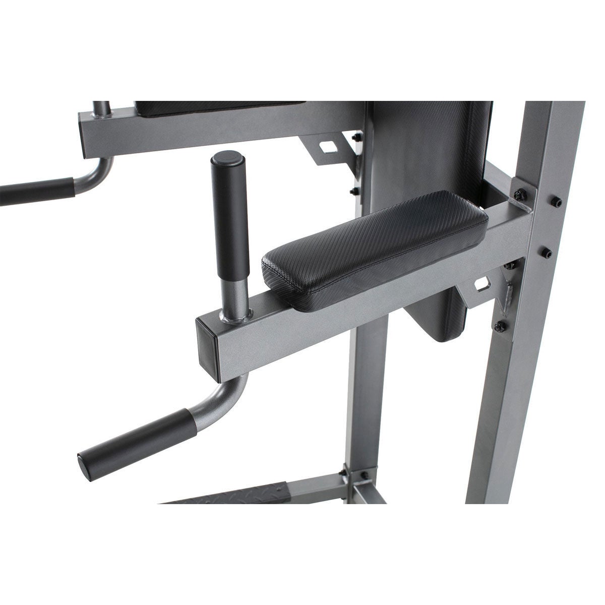 ProForm Carbon Strength Power Tower