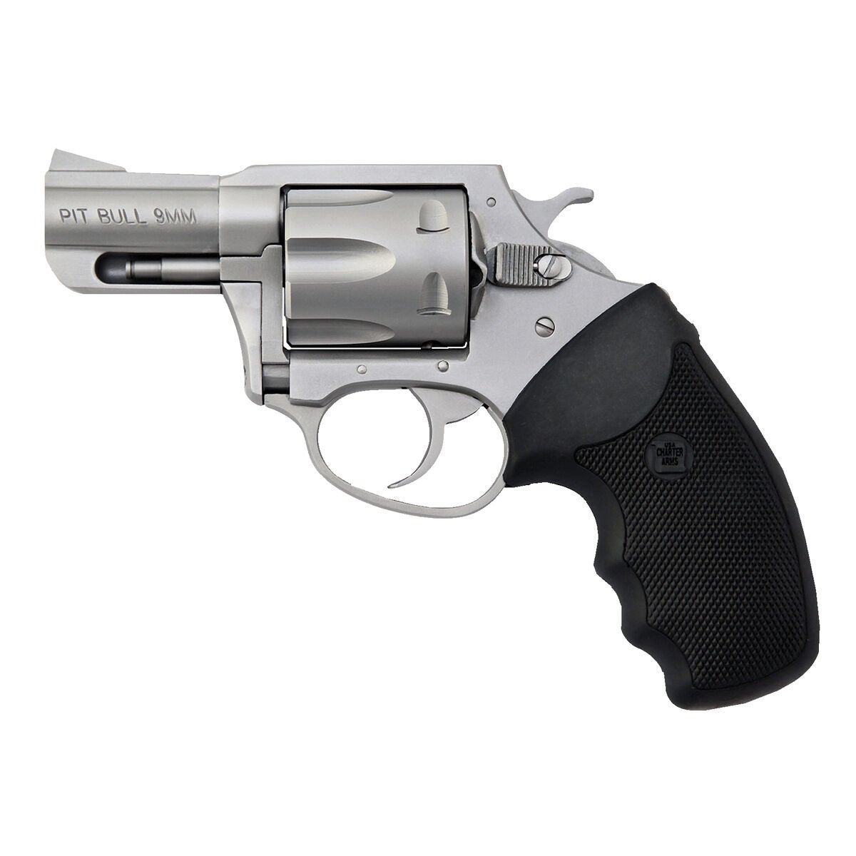 Charter Arms 79920 Pitbull 9mm Reolver