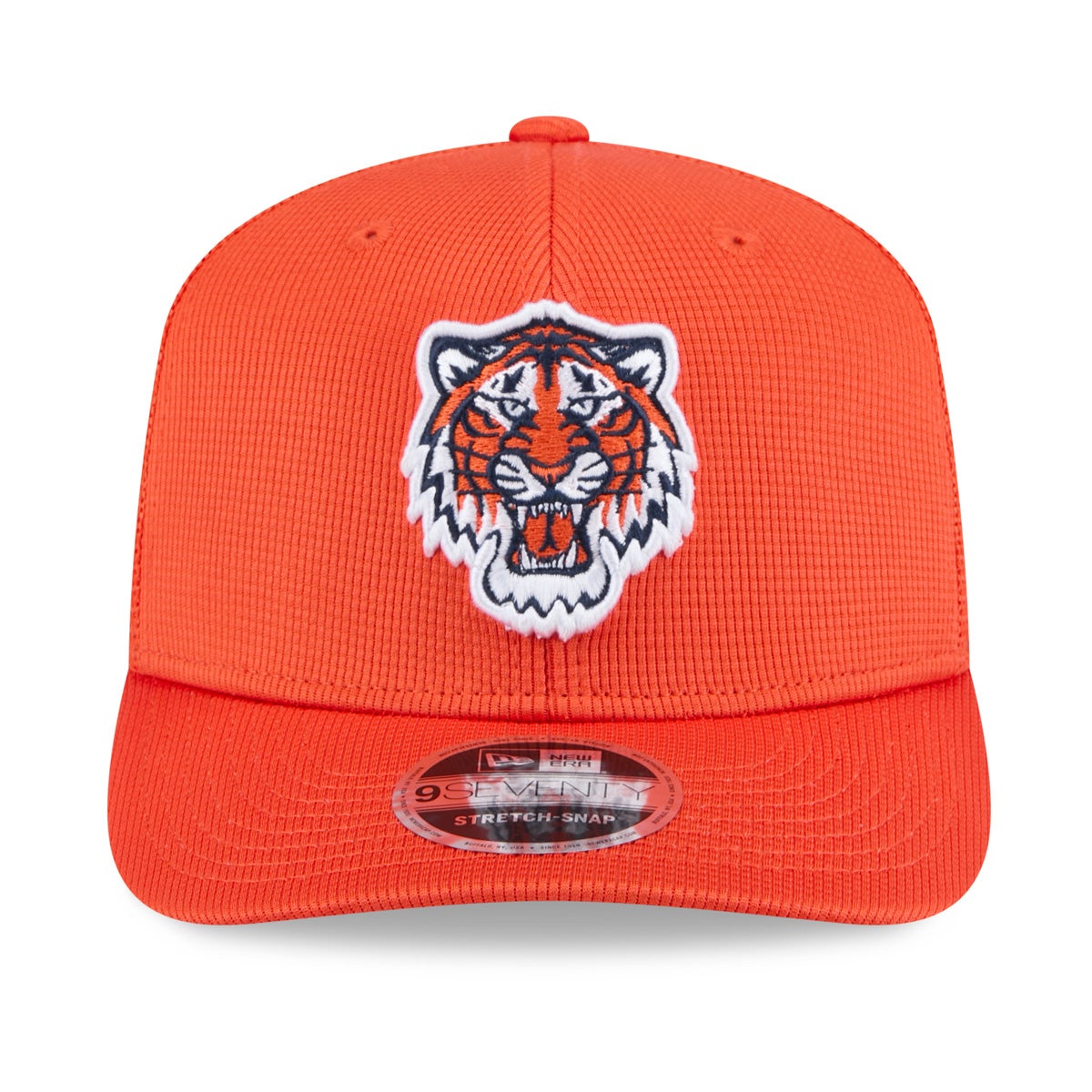 New Era Detroit Tigers Spring Training 2025 Hat