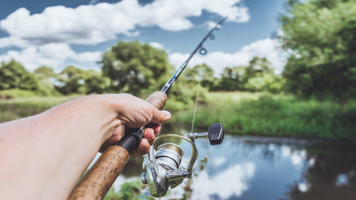 <p style="text-align: center;"><b style="">View All Fishing Reels</b></p>