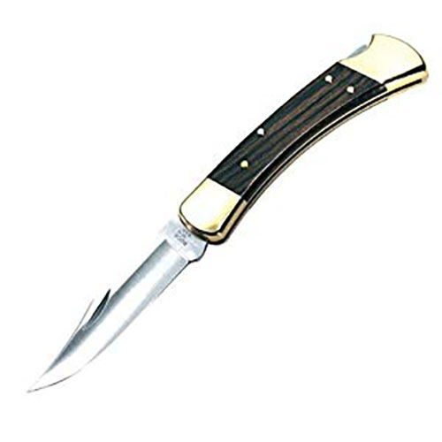 Buck 110 Folding Hunter Knife