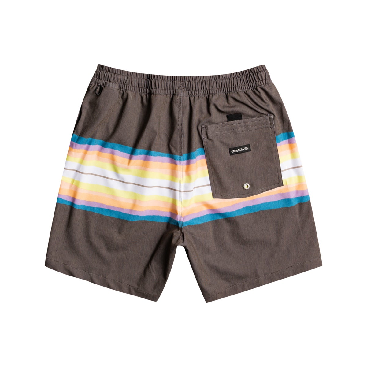 Quiksilver Men's Resin Tint Pcs 17" Volleys