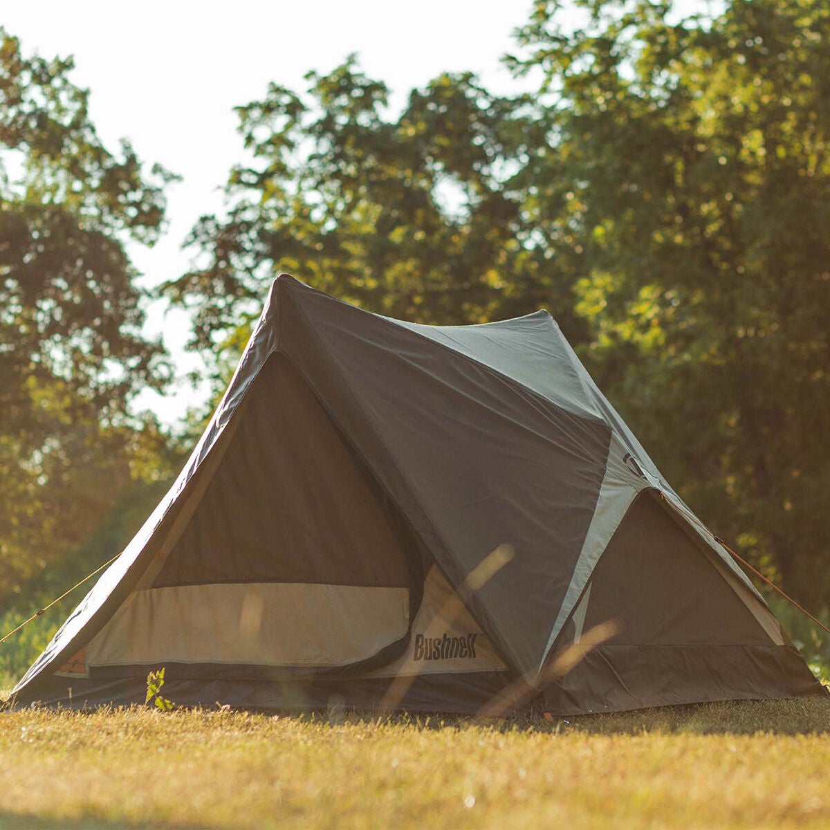 Bushnell Bushnell 3P A-Frame Pop-Up Tent