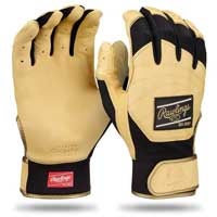<div style="text-align: center;"><b style="background-color: rgba(0, 0, 0, 0);">Batting Gloves</b></div>