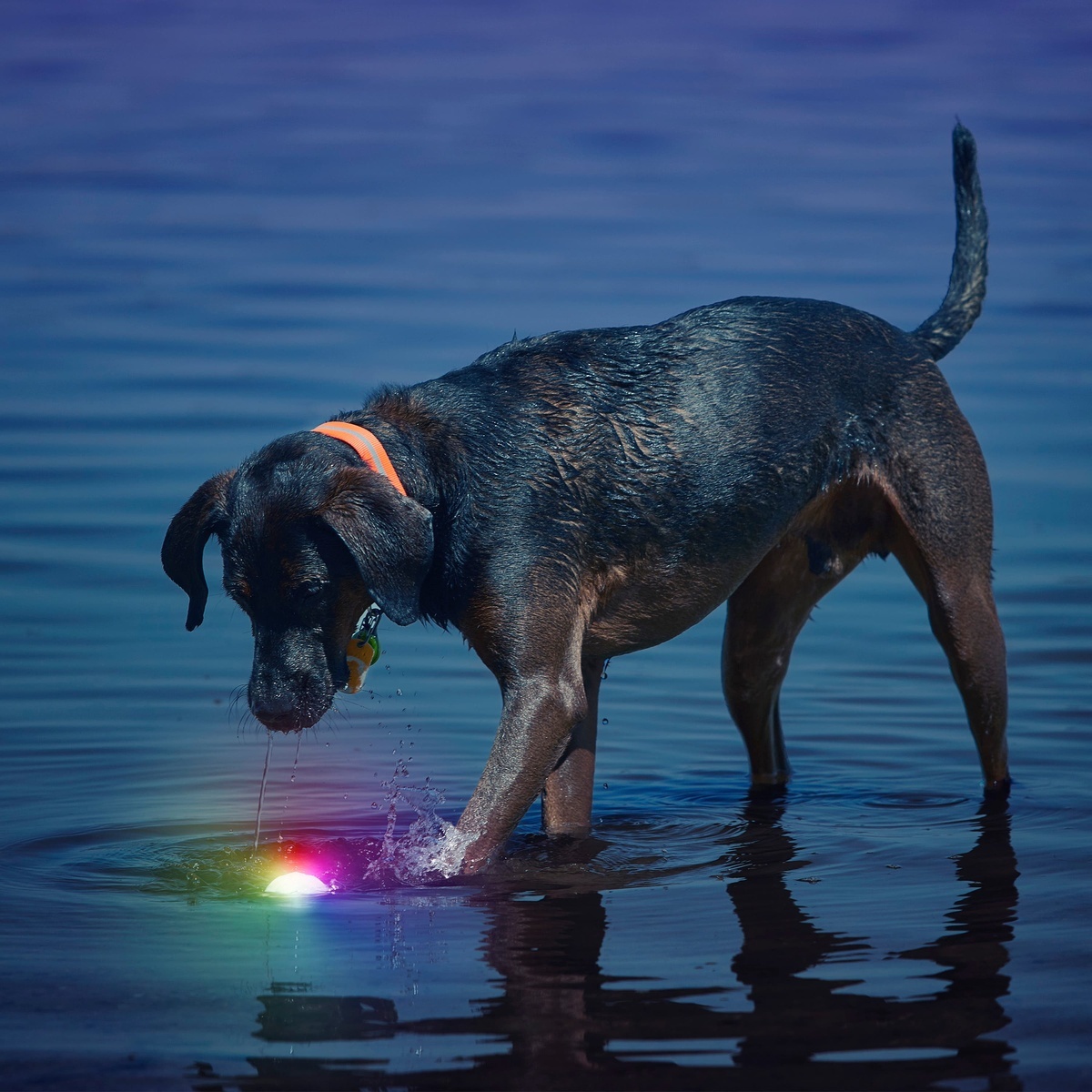 Nite Ize GlowStreak LED Ball - Disc-O