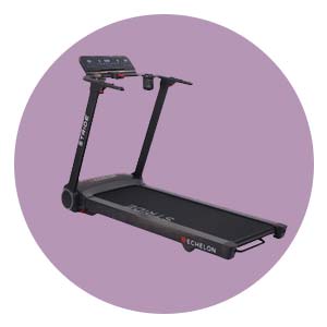 <div style="text-align: center;"><span style="background-color: rgba(0, 0, 0, 0);">Exercise &amp; Fitness</span></div>