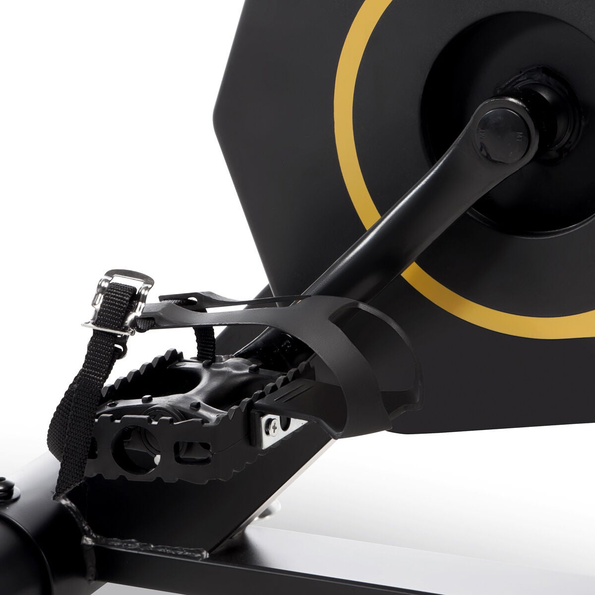 Circuit Fitness Deluxe Club Revolution Cycle