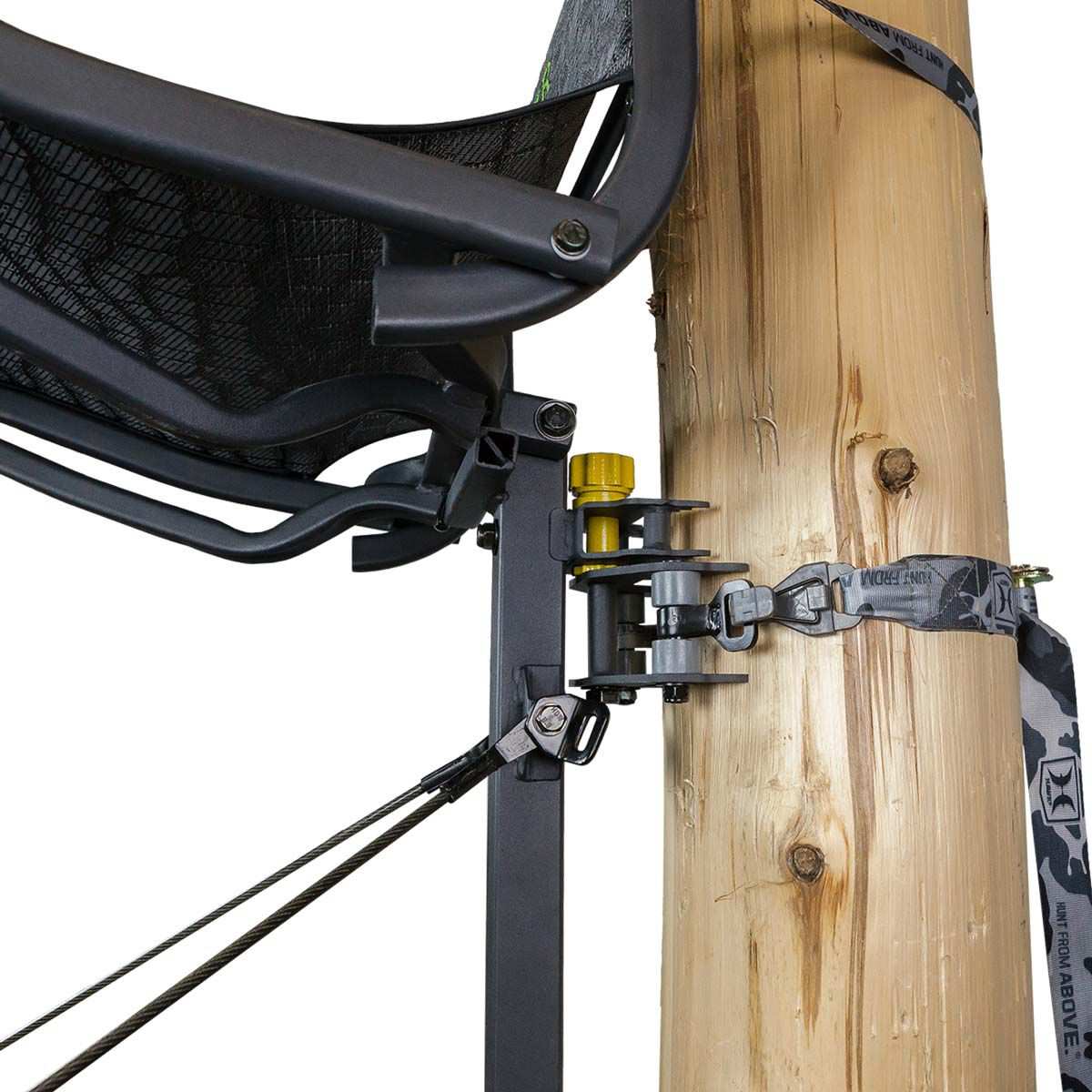 Hawk Hawk Cruzr Hang-on