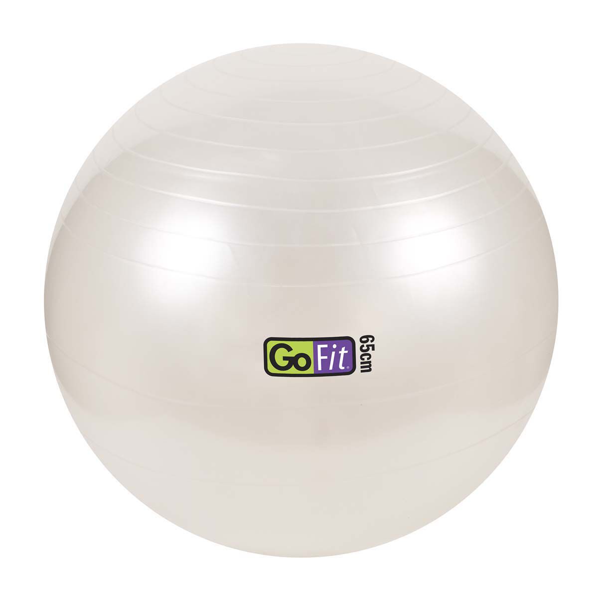 Go Fit 65cm Exercise Ball