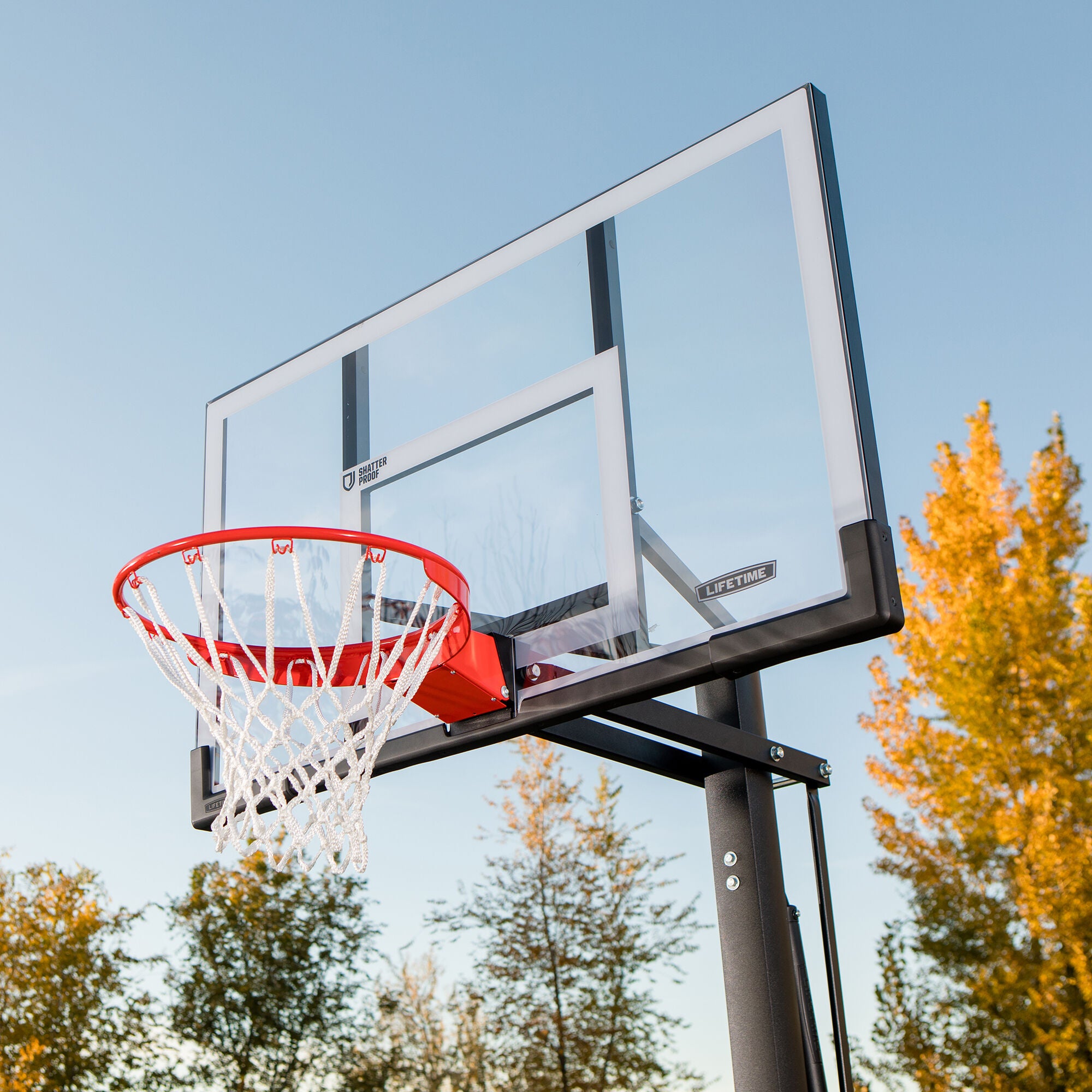 Lifetime 54" SFS 91003 Power In-Ground System