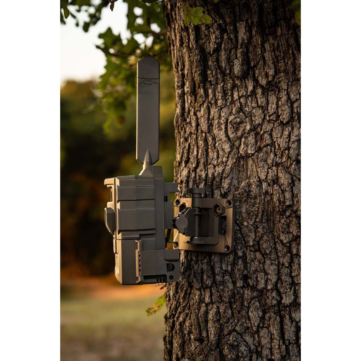 Reveal By Tacta Tree Mount 2.0