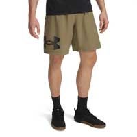 <div style="text-align: center;"><b style="background-color: rgba(0, 0, 0, 0);">Shorts</b></div>