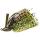 Green Pumpkinseed
