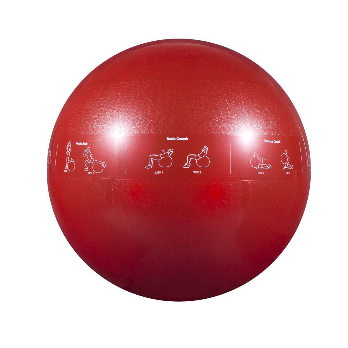 Go Fit 65cm Guide Ball Stability Ball
