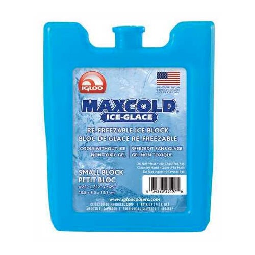 Igloo Reusable Ice Block