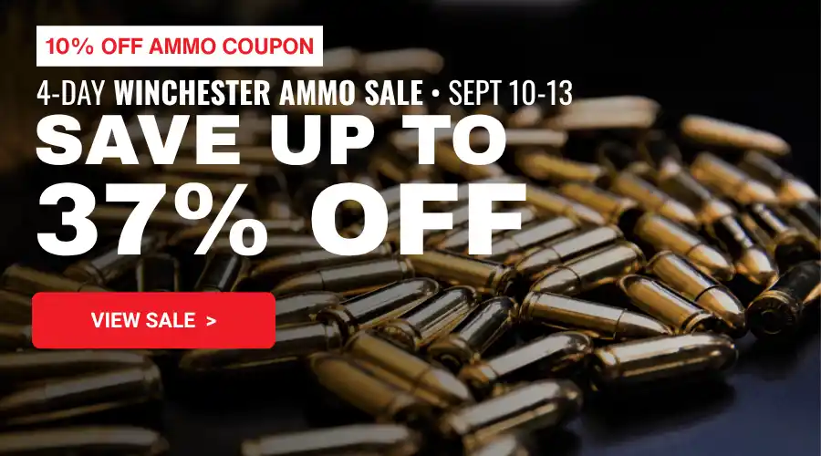 AmmoFlashSale091026PC