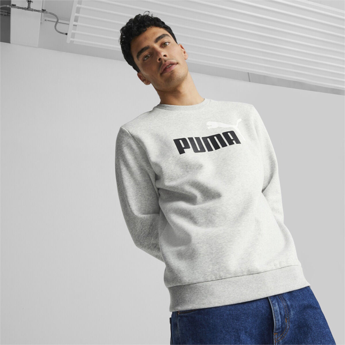 Puma Men's ESS+ 2 Col Big Logo Crew Fleece Athletic Apparel