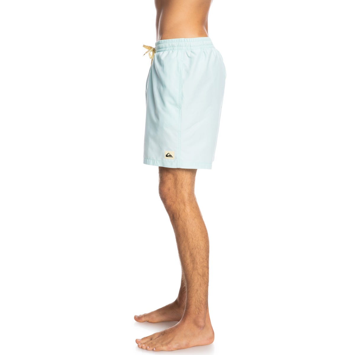 Quiksilver Men's Everyday 17" Volleys