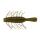 Green Pumpkinseed