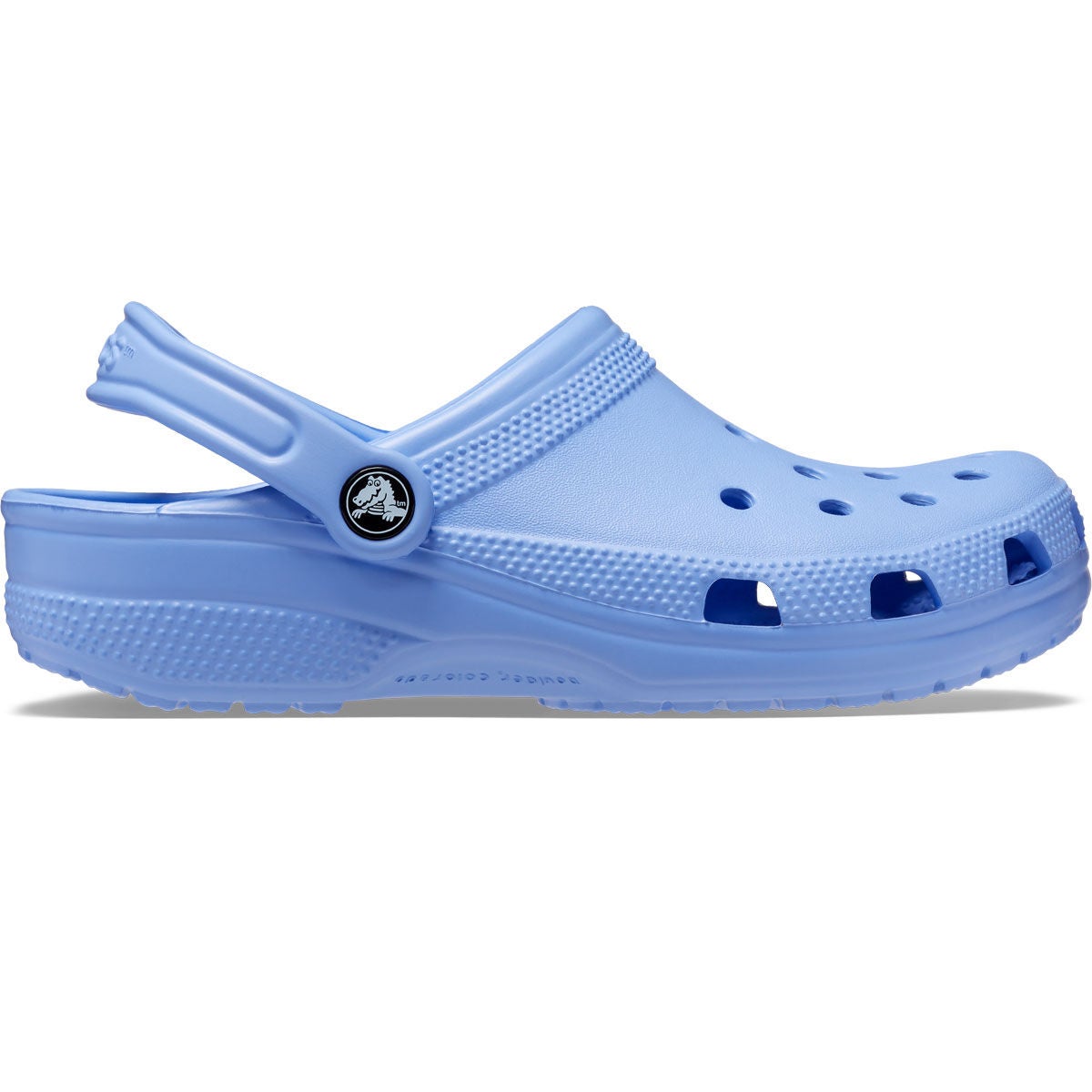 Alife Crock Sock Crocs Women's Classic Moon Jelly
