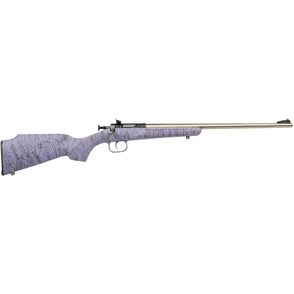 Crickett 22LR S/S EZLDR PPLBLK WEB Rimfire Rifle
