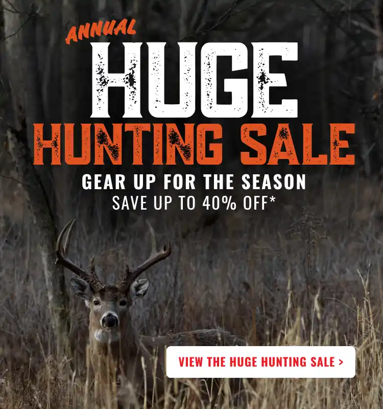 Promotional Banner
