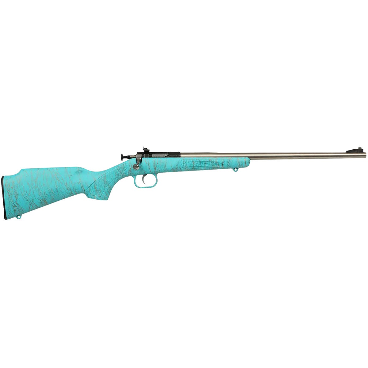 Crickett 22LR S/S EZLDR BLUGLD WEB Rimfire Rifle