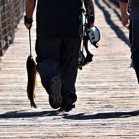 <div style="text-align: center;"><b style="background-color: rgba(0, 0, 0, 0);">Bow Fishing</b></div>