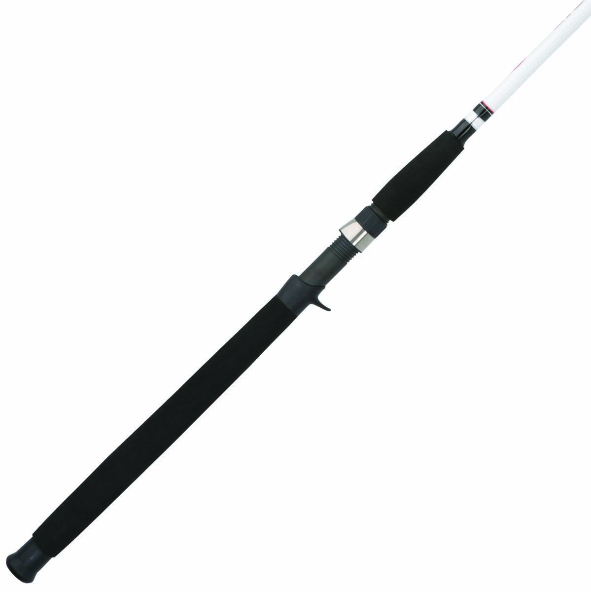 Berkley Big Game Casting Rod